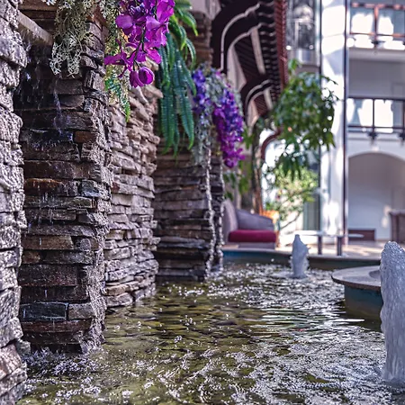 Mpm ギネス 4* バンスコ