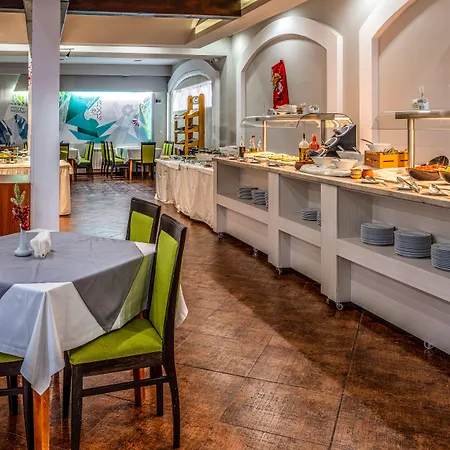 Mpm ギネス バンスコ